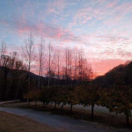 Can Torrotes La Vall de Bianya Dış mekan fotoğraf