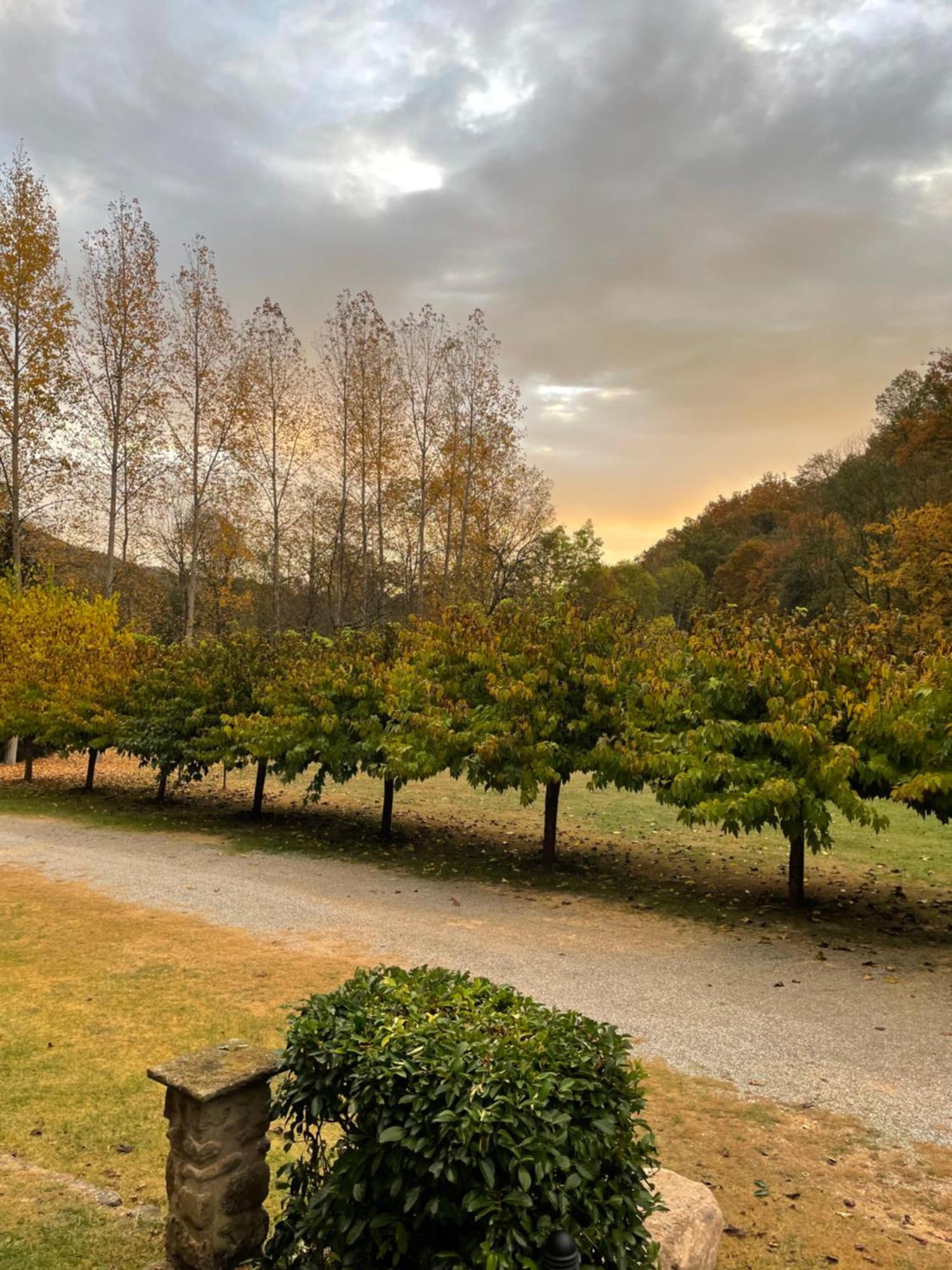 Can Torrotes La Vall de Bianya Dış mekan fotoğraf