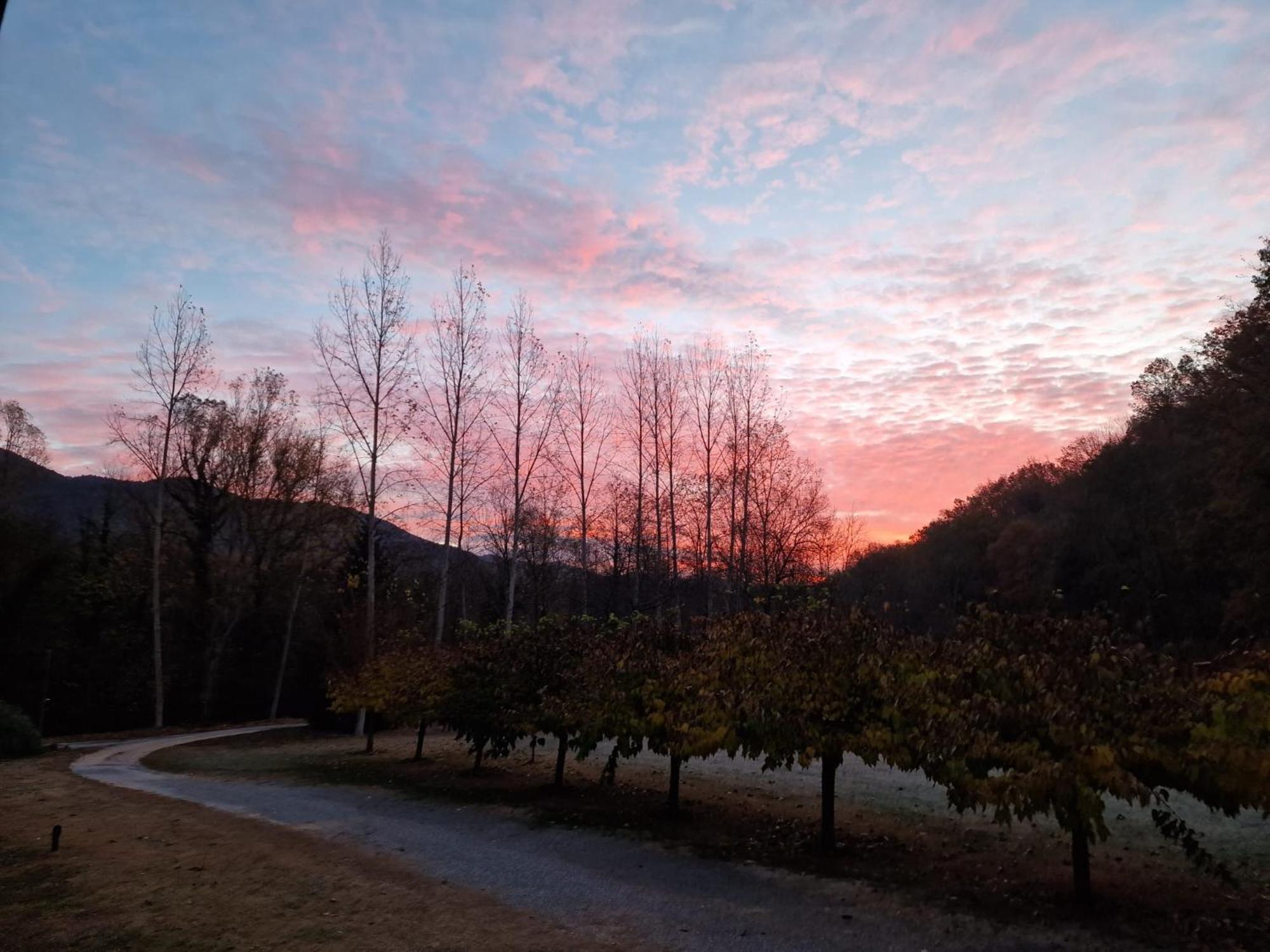 Can Torrotes La Vall de Bianya Dış mekan fotoğraf