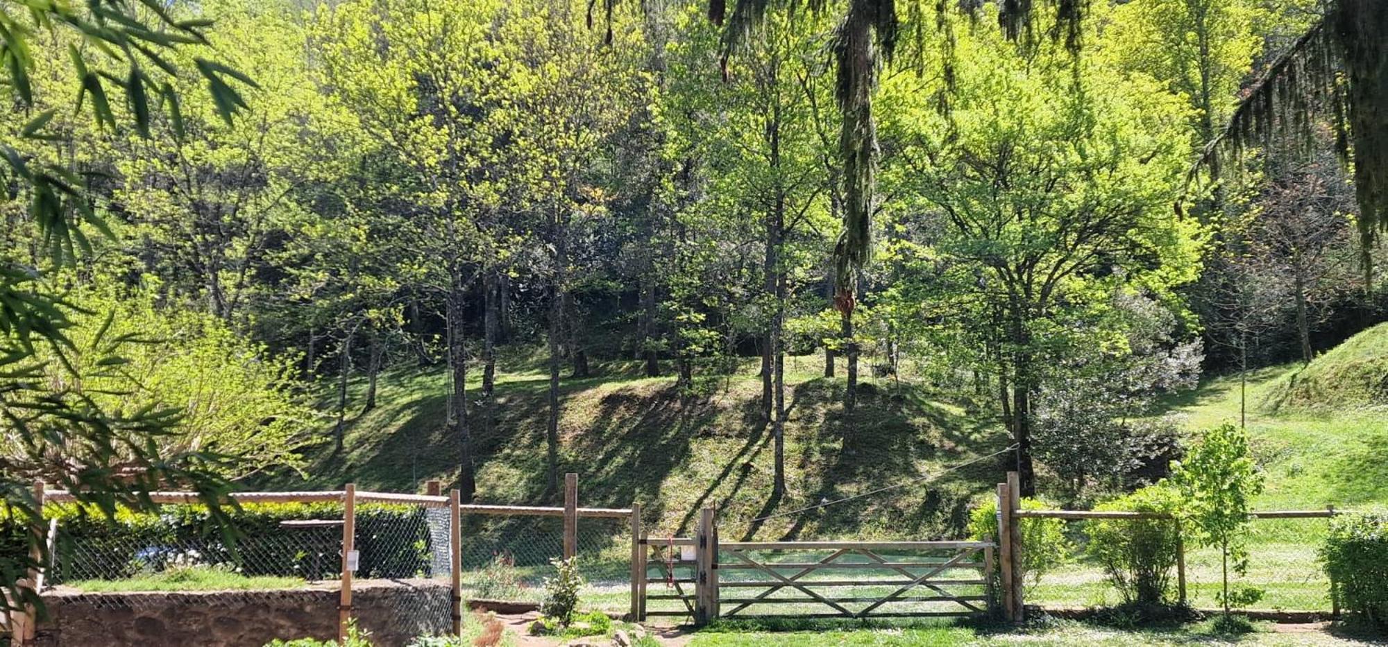 Can Torrotes La Vall de Bianya Dış mekan fotoğraf