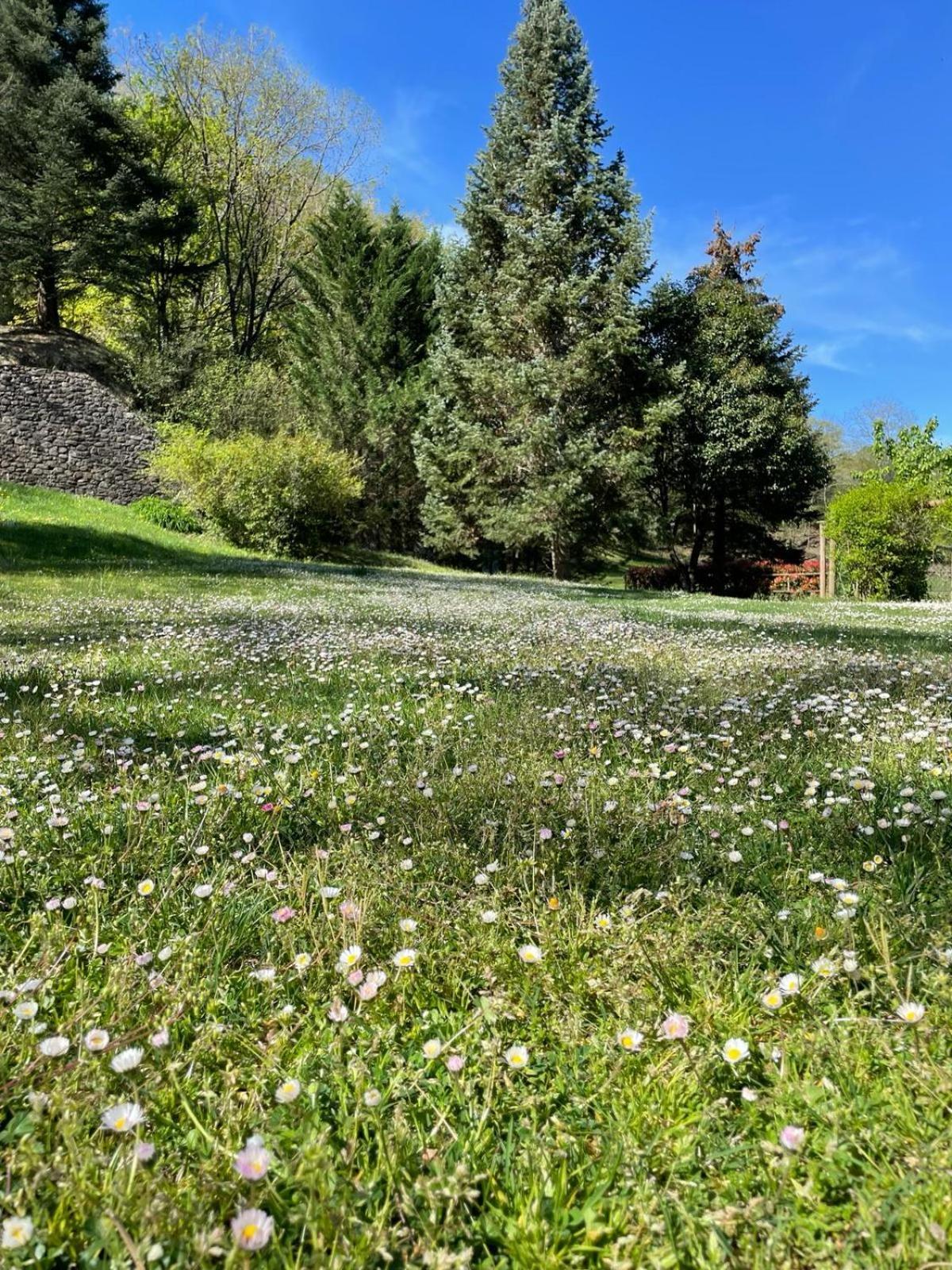 Can Torrotes La Vall de Bianya Dış mekan fotoğraf