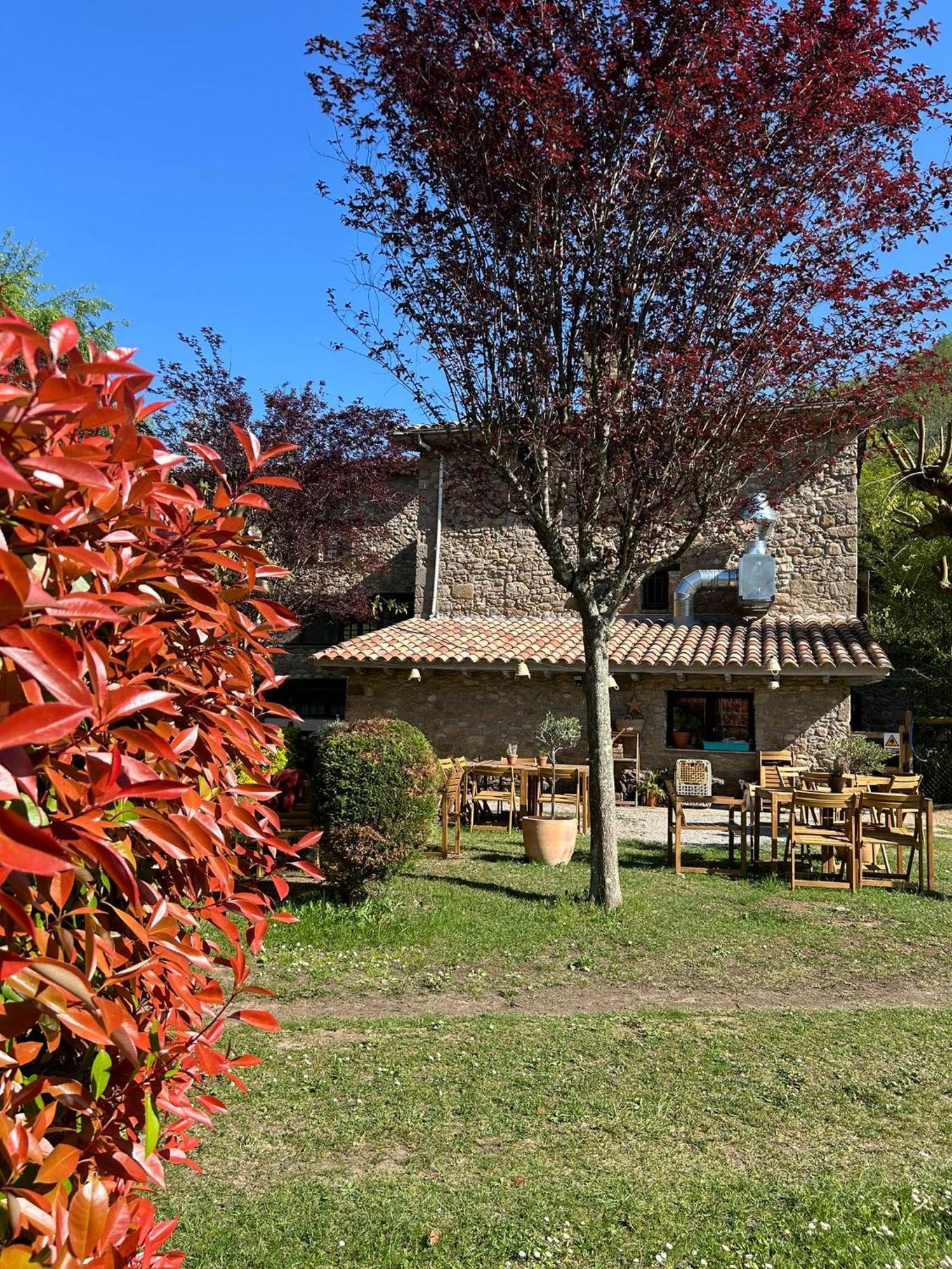 Can Torrotes La Vall de Bianya Dış mekan fotoğraf